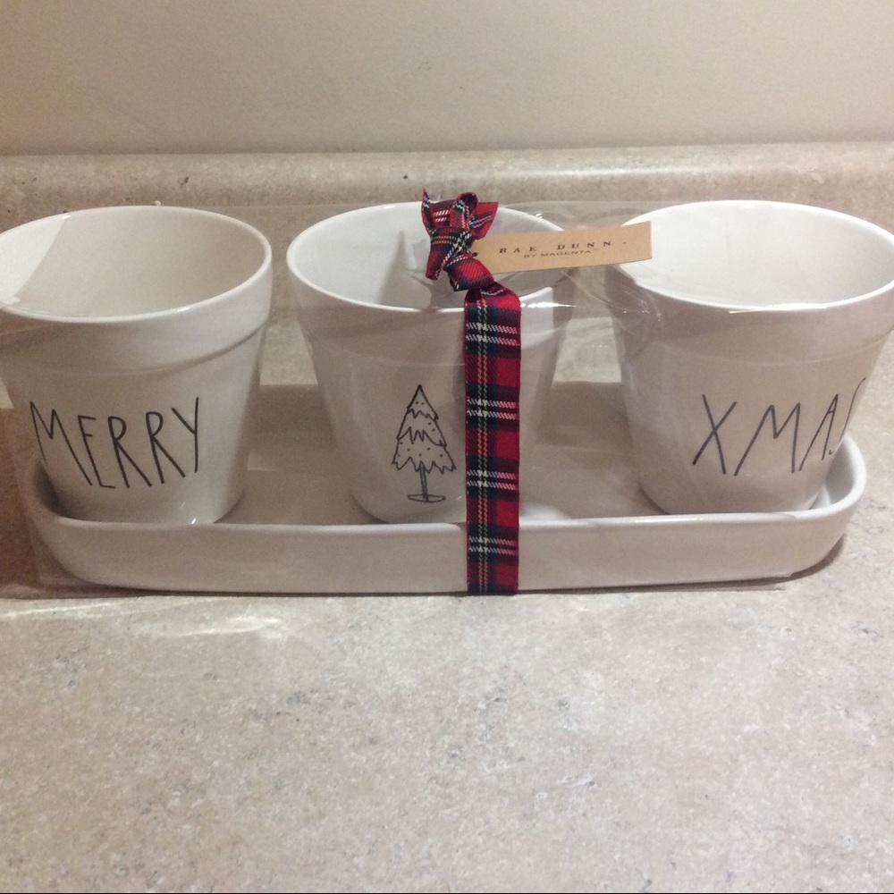 Rae Dunn 4 Piece Ceramic Planter Set